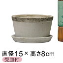セメントポット リト 植木鉢 おしゃれ 丸浅型 15cm 〔受皿付〕