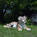 【メーカー直送・同梱不可・代引不可・返品不可】見つめる子タイガー / Tiger Cub - Lying Down