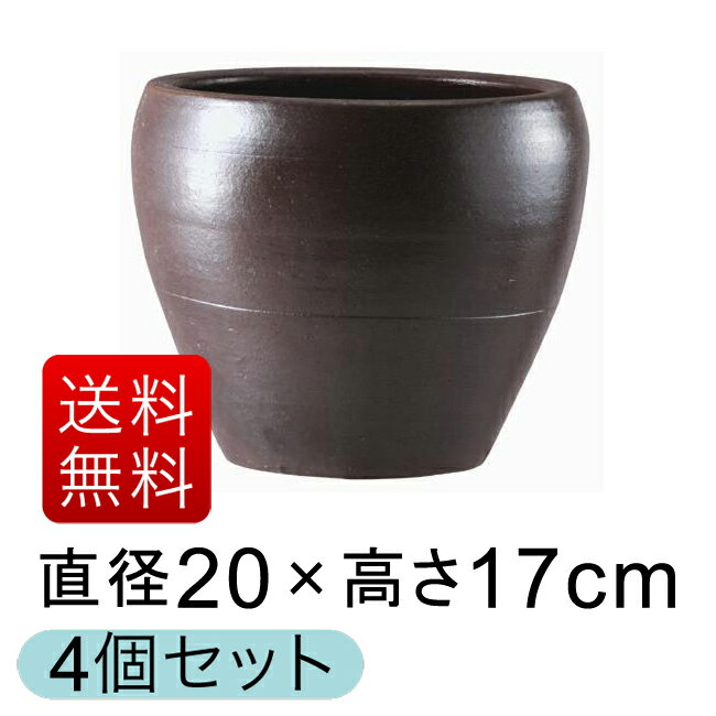 【送料無料】【グリーンポット社】Cha-Cha ドーム 30cm【2鉢セット】【バラ売不可】