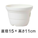 カラーバリエ 輪鉢 5号〔15.1cm〕 ホワイト