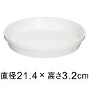 浅皿 4号（12.7cm） ホワイト