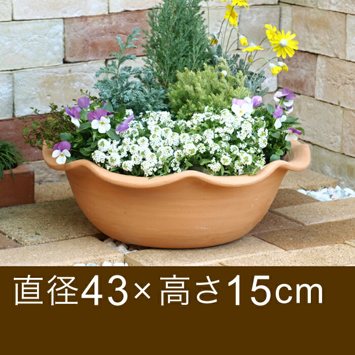 フリル付浅型素焼き鉢　43cm【おしゃれな植木鉢　大型】