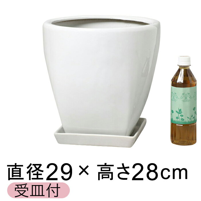 【訳あり限定品　30%OFF】ツルツル上丸下角型白色陶器鉢　M　29cm（受皿付）