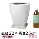 【割UP】【訳あり】ツルツル上丸下角型 陶器鉢 白 S 22cm 受皿付 おしゃれ 植木鉢 つるつる 鉢カバー