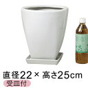 ツルツル上丸下角型白色陶器鉢　S　22cm（受皿付）【おしゃれな植木鉢　鉢カバー】