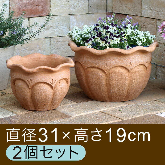 【おしゃれな植木鉢】フリル付浅パンプキン型白粉素焼き鉢　（大小2個セット）