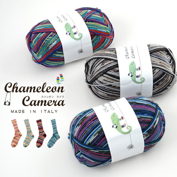  677 Chameleon CameraiJI Jj[(hkE[)75iC25  95-100gʊ(420m) S15F]юsG ю ҂ݕ 