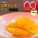 母の日 ギフト 宮崎県 完熟マンゴー (高級秀品) Lサイズ×2玉 化粧箱入り 贈り物 プレゼント マンゴー スイーツ 果物 果物 フルーツ 【5月9日~11日出荷】