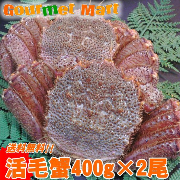 送料無料　北海道産活毛ガニ400g×2尾 期間限定激安セール！濃厚かに味噌！えりも/釧路/稚内/網走/根室など旬なカニを北海道直送！【楽ギフ_のし宛書】活毛蟹専門店の味！贈り物ギフトに最適！鮮度抜群新鮮毛がにを航空便で直送！