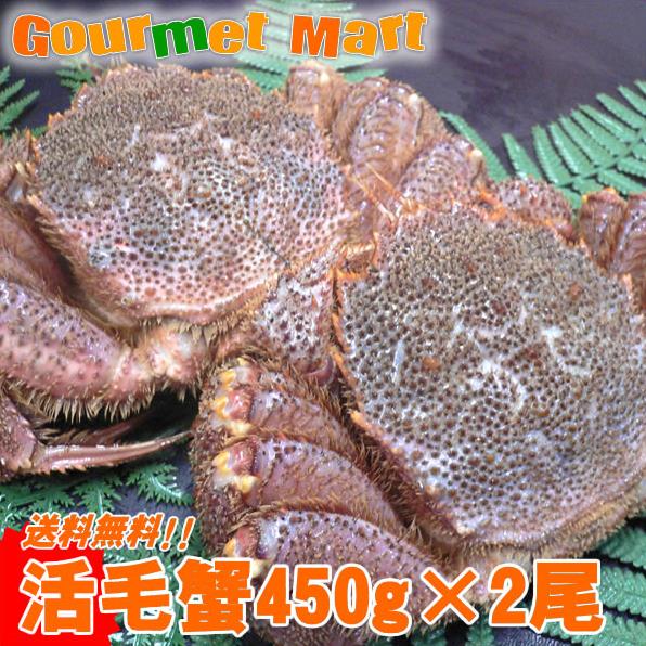 送料無料　北海道産活毛ガニ450g×2尾 期間限定激安セール！濃厚かに味噌！えりも/釧路/稚内/網走/根室など旬なカニを北海道直送！【楽ギフ_のし宛書】活毛蟹専門店の味！贈り物ギフトに最適！鮮度抜群新鮮毛がにを航空便で直送！