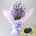 【癒しの香り】母の日に北海道産の癒し花「ラベンダー鉢植え」とジャンダルムの生キャラメルをラッピングしてお届けいたします!