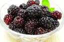 冷凍ブラックベリー<500g×1パック>爽やかな酸味のブラックベリーをたっぷりと!【ブラックベリー】【冷凍ブラックベリー】【完熟ブラックベリー】【冷凍フルーツ】【冷凍デザート】【冷凍食品】【業務用】【ヨナナス】【スムージー】【レシピ】【楽ギフ_のし】
