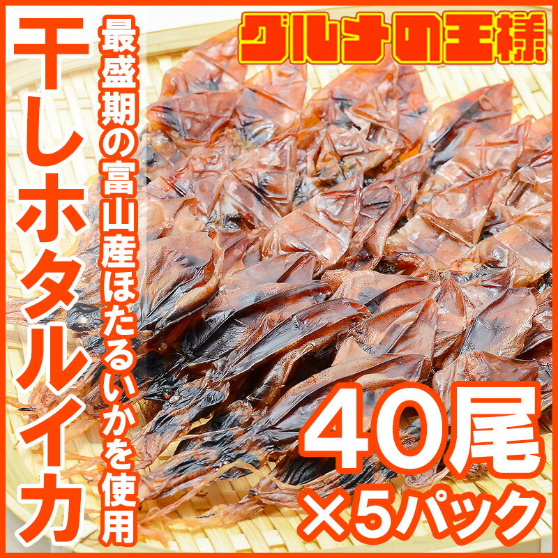 送料無料 ホタルイカ 素干し 干しほたるいか40尾×5パック シーズン最盛期の富山産ほたるいか干物は大きくて旨みが凝縮！【ほたるいか ほたるイカ 蛍烏賊 イカ一夜干し イカ燻製 新物 築地市場 レシピ ギフト】