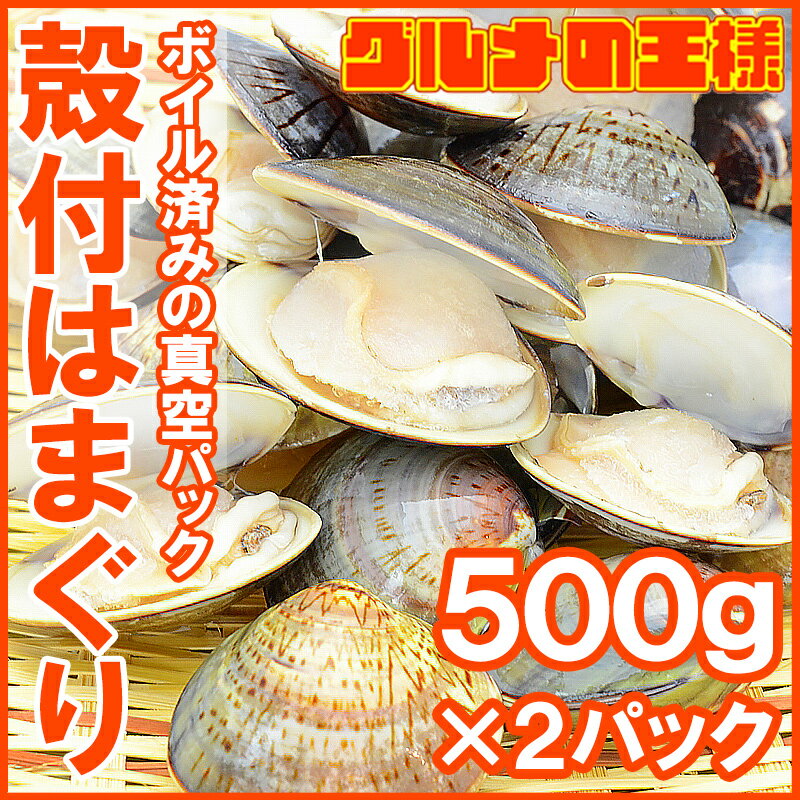 はまぐり ハマグリ＜1kg・500g×2・無添加ボイルハマグリ＞鮮度が活きたはまぐりは旨い【潮汁 ハ...:gourmet-ousama:10000271