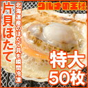 【送料無料】ホタテ ほたて 特大 片貝ほたて 50枚 10枚...