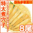 やわらか煮穴子 8尾 250g 特大20cm前後 【穴子 あなご アナゴ 煮あなご 煮アナゴ 煮穴