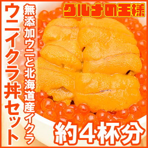 【送料無料】築地市場のウニイクラ丼セット 4杯分 無添加生ウニ200g＆いくら醤油漬け200g 海鮮丼で約4杯分【うに ウニ いくら イクラ うにいくら丼 海鮮丼 手巻き寿司 寿司ネタ 刺身 福袋 築地 ギフト】【smtb-T】【あす楽】