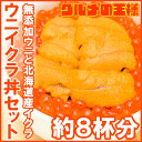 【送料無料】築地市場のウニイクラ丼セット 8杯分 無添加生ウニ400g&いくら醤油漬け400g 海鮮丼で約8杯分【うに ウニ いくら イクラ うにいくら丼 海鮮丼 手巻き寿司 寿司ネタ 刺身 福袋 築地 ギフト】【smtb-T】【あす楽】r