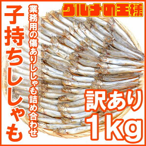 【送料無料】訳あり ししゃも 1kg 業務用 子持ちシシャモ【樺太シシャモ カラフトシシャモ カペリン 柳葉魚 ノルウェー産 中国加工 ししゃもフライ 唐揚げ 訳アリ わけあり ワケアリ 築地 レシピ ギフト】r