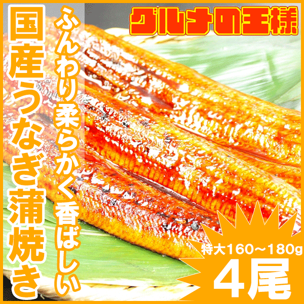 【送料無料】特大！国産うなぎ蒲焼き平均165g前後×4尾＜愛知・宮崎・鹿児島県産等＞まさに…...:gourmet-ousama:10000143