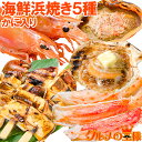 【送料無料】海鮮浜焼き 5種セット かに入り 海鮮バーベキューセット 北海道産ほたて10枚 かにみそ甲羅盛り2個 いかおやじ串10本 特大赤海老L1サイズ2kg 南タラバガニ ハーフポーション450g【smtb-T】