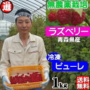 ラズベリー 冷凍 ストレートピューレ 送料無料 (1kgパック)無農薬栽培 無添加 無着色 ラズベリー/冷凍 木苺 キイチゴ フランボワーズ 無農薬栽培/無添加・無着色/国産 青森県産 冷凍フルーツ 業務用
