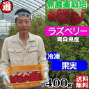 ラズベリー 冷凍 果実 送料無料 (100g×4パック) 無...