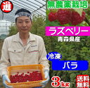 ラズベリー 冷凍 バラ 送料無料 (1kg×3パック) 無農...