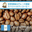 グァテマラ世界規格Qグレード珈琲豆（200g）（ガテマラSHB）/グルメコーヒー豆専門加藤珈琲店/珈琲豆