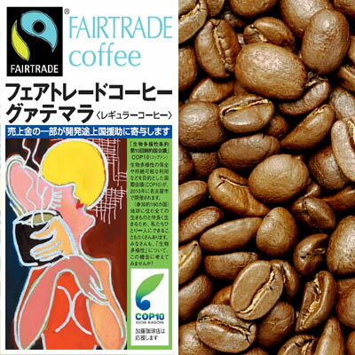 FLO認定フェアトレードコーヒー・グァテマラ（300g）（ガテマラSHB）/グルメコーヒー豆専門加藤珈琲店