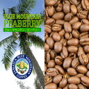 [500gお得袋]ブルーマウンテン・ピーベリー（ジャマイカ）/グルメコーヒー豆専門加藤珈琲店　