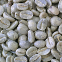 ［生豆］ペルー・ソルデアンデス（100g）フェアトレードコーヒー/グルメコーヒー豆専門加藤珈琲店