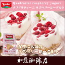 ローカー/クワドラティーニ(ラズベリーヨーグルト)/グルメコーヒー豆専門加藤珈琲店