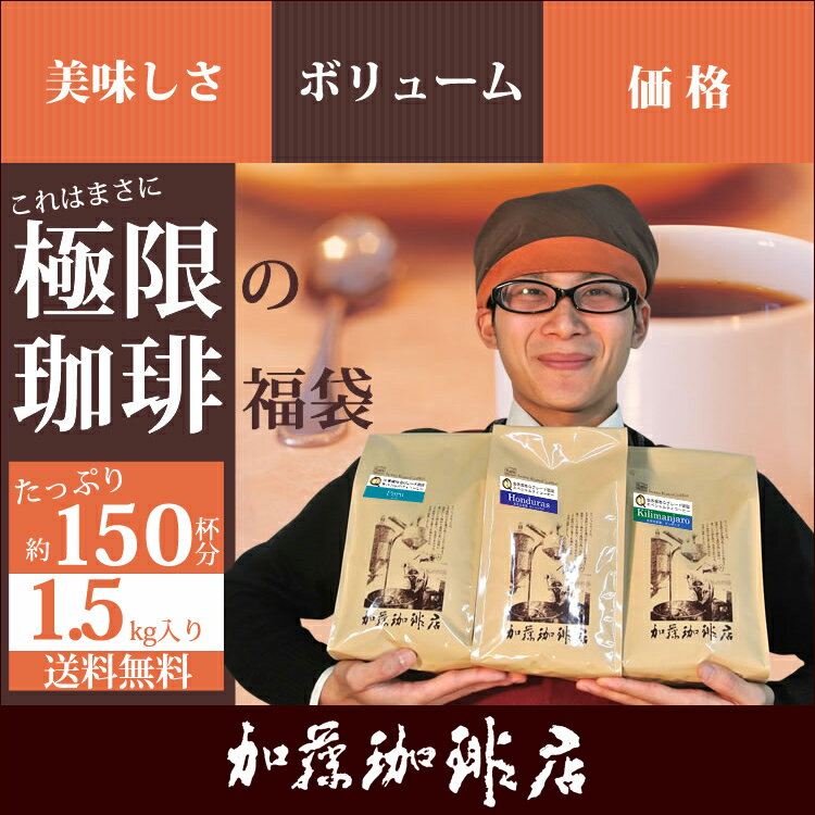 極限の珈琲福袋(Qエル・Qグァテ・Qコス /各500) グルメコーヒー豆専門加藤珈琲店