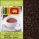 セイロン ウバ 紅茶 BOP （100g入袋）/グルメコーヒー豆専門加藤珈琲店