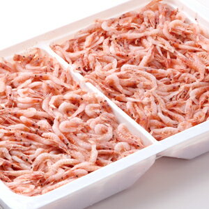 お刺身・パスタ・リゾットに！生冷サクラエビ刺身用【桜海老】【冷凍】【グルメ通販】