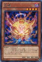 荒魂　レア SHSP-JP035　闇属性　レベル4　【遊戯王カード】