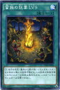 蛮族の狂宴LV5 ノーマル DUEA-JP056 通常魔法【遊戯王カード】枠スレ 蛮族の狂宴LV5 ノーマル DUEA-JP056 通常魔法【遊戯王カード】枠スレ