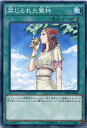 禁じられた聖杯 ノーマル SPWR-JP041 速攻魔法 【遊戯王カード】 禁じられた聖杯 ノーマル SPWR-JP041 速攻魔法 【遊戯王カード】
