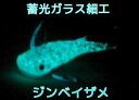 蓄光ガラス細工 インテリア 置物 蓄光ガラス ジンベイザメ ...