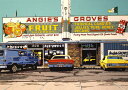 鈴木英人「ANGIE’S GROVES」1988年 リトグラフ 額付版画作品国内 送料無料