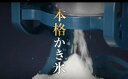 電動本格ふわふわ氷かき器 DCSP-1751 かき氷器 かき氷機 氷カキ器 氷かき器 氷カキ機 氷かき機 おしゃれ 夏 電動 ふわふわ 家電 調理家電【送料無料】