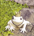 トード ガーデンオーナメント S かえる カエル フロッグ FROG ガーデンマスコット ガーデニング 置き物 オブジェ オーナメント 動物