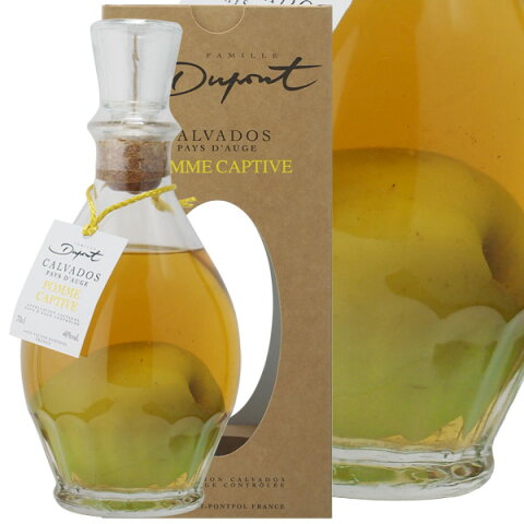 デュポン ポム キャプティヴ アップル 40% 700ml【箱入】