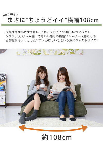 ローソファーローソファソファーソファ1人掛け2人掛けソファベッドリクライニングフロアソファフロアソファー【楽天最安値挑戦中】【ホクト】【dzs】【ドリス】