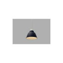 アイリスオーヤマ LEDペンダントライト LED電球セット Gammel Plas ホーロー調 Sサイズ ネイビー PL5LE17PE1L