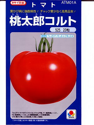 桃太郎コルト・・・＜タキイ交配の大玉トマトの種です。　種の通販ならお任せグリーンデポ＞