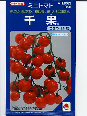 トマト　タキイ交配・・・千果・・・＜タキイのミニトマトです。　種のことならお任せグリーンデポ＞タキイの真赤な極甘ミニトマト種です。