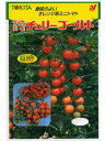 トマト　トキタ交配・・・チェリーゴールド・・・＜トキタのミニトマトです。　種のことならお任せグリーンデポ＞