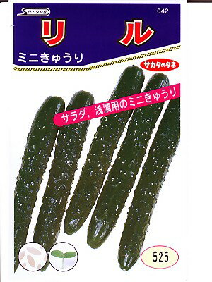 キュウリの種　サカタ交配・・・リル・・・＜サカタのミニキュウリの種です。　種のことならお任せグリーンデポ＞